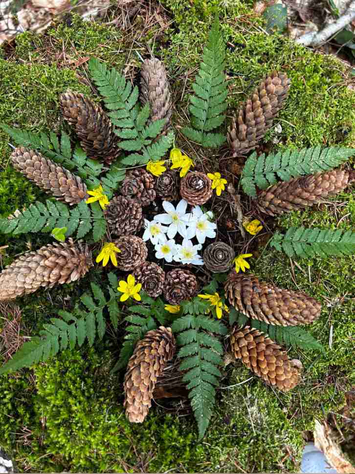 Mandala einer Teilnehmerin bestehend aus Naturmaterialien, wie Farne, Zapfen, Blüten und Moos